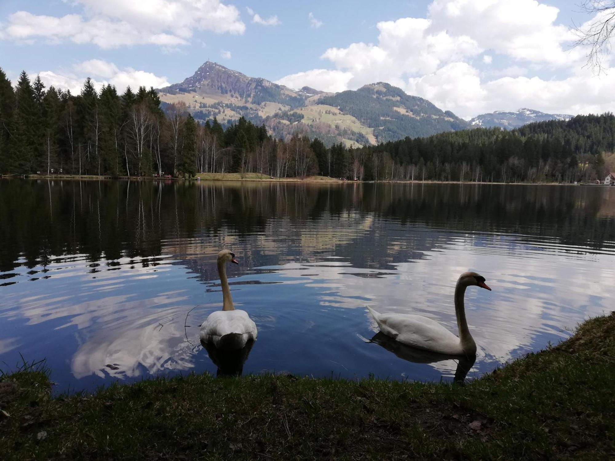 Вилла Hahnenkammblick Кицбюэль Экстерьер фото
