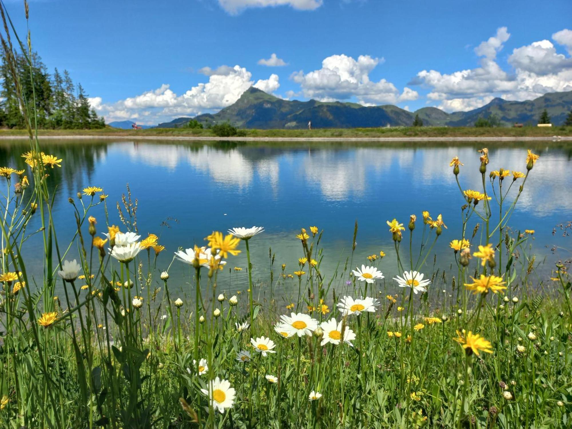 Вилла Hahnenkammblick Кицбюэль Экстерьер фото